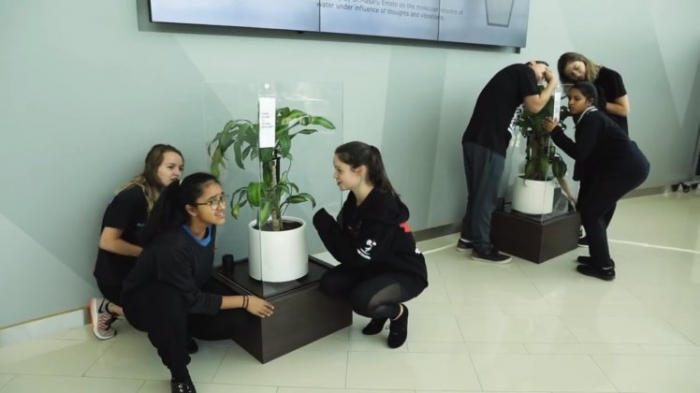 Икеа просит студентов запугивать растение в течение 30 дней, чтобы доказать, как негативность может остановить рост