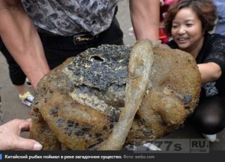 Неведомая зверушка попала в сети китайского рыбака
