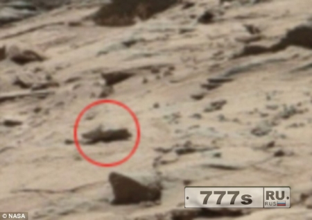 Эксперт по НЛО обнаружил «туфлю» на Марсе и считает, что это свидетельство геноцида
