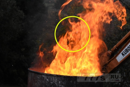 На жутком фото из огня появляется лицо, но как вы считаете дьявол это или Иисус?