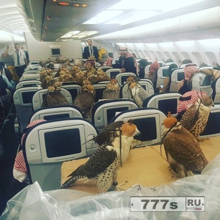 Фото 80-и ястребов, летящих на самолете Саудовского принца вызвала бурю в интернете.