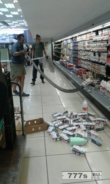 Покупательница полезла в холодильник в супермаркете за йогуртом и схватила 4-метрового питона.