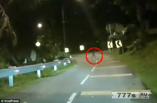 Ужасно! Видеорегистратор заснял момент, когда водитель понял, что «призрак сидит посреди дороги».