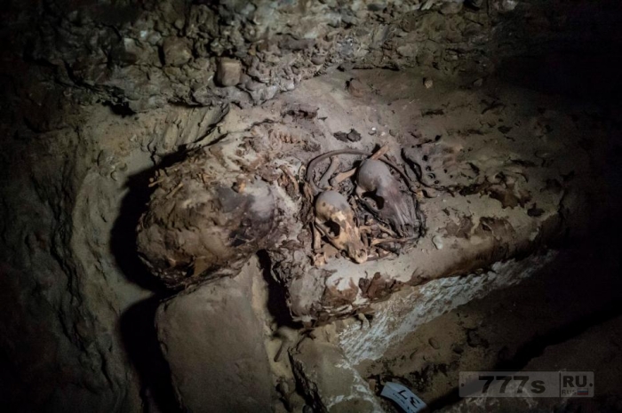 Археологи обнаружили десятки 2300-летних мумий в древнеегипетском захоронении.