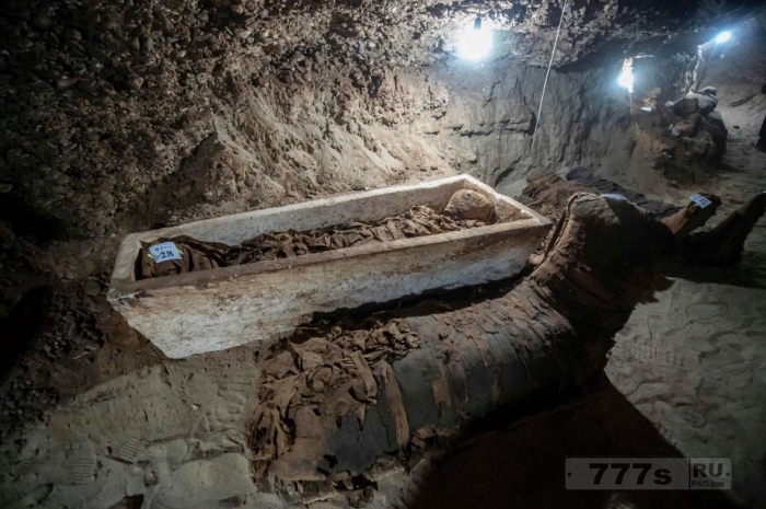 Археологи обнаружили десятки 2300-летних мумий в древнеегипетском захоронении.