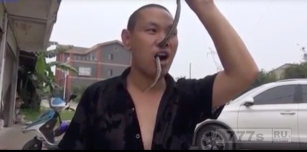 Мастер Кунг-фу протянул ядовитую змею через нос и рот.