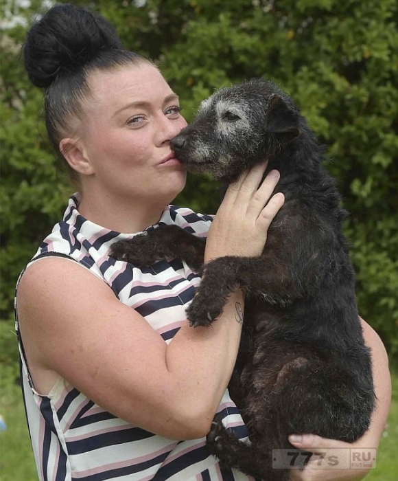 Владелец воссоединился с собакой, которая исчезла шесть лет назад.
