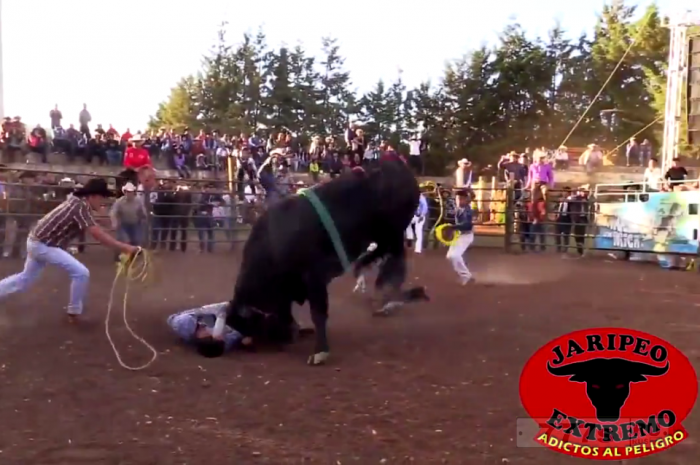 Ужасный момент взбесившийся бык жестоко забадывает одного и затаптывает другого во время родео.