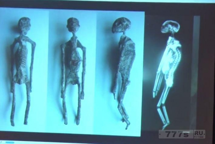 Эксперты НЛО изучают пять странных 1700-летние мумии в Перу, которые больше похожи на рептилий, чем на людей.