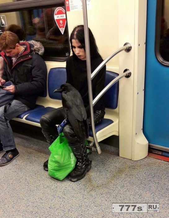 Самые странные фотографии из метропоездов со всего мира.