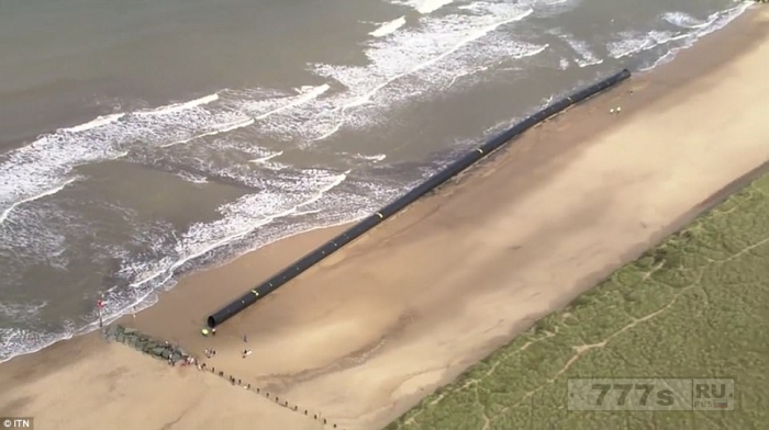 Гуляющие по пляжу были потрясены 450-метровой пластиковой трубой выброшенной на британский берег.