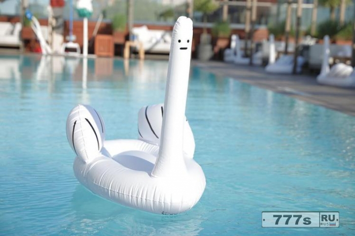 Кому нужен модный лебедь для плавательного бассейна?