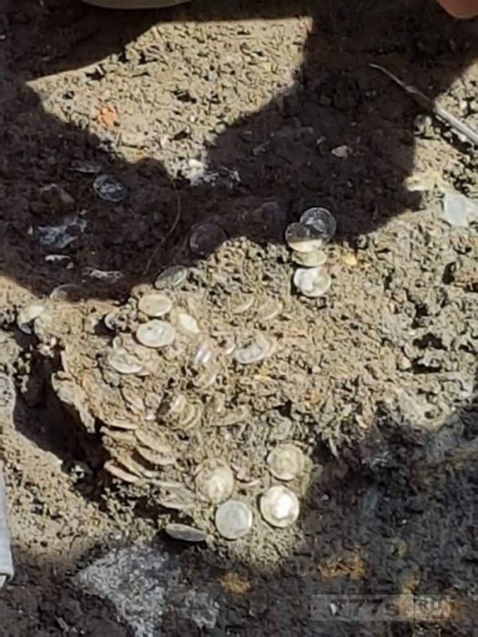 Мужчина нашел древние монеты на фермерском поле стоимостью 200 000 фунтов стерлингов.