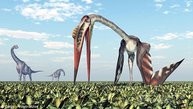 Страшный птерозавр размером с самолет, который питался с детенышами динозавров 70 миллионов лет назад, обнаружен в Монголии.