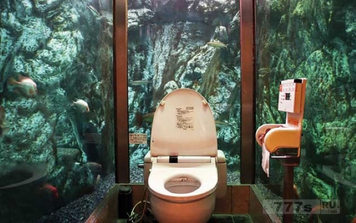 Странные фотографии сумасшедших туалетов со всего мира.