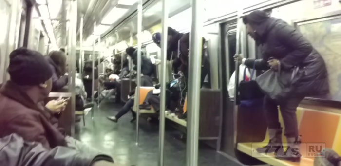 Забавный момент, крыса появилась в поезде метро Нью-Йорка. Пассажиры запрыгнули на сиденья.