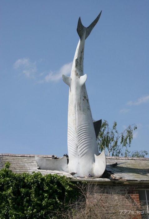 7,5-метровая большая белая акула, торчащая из крыши, стала охраняемым туристическим местом