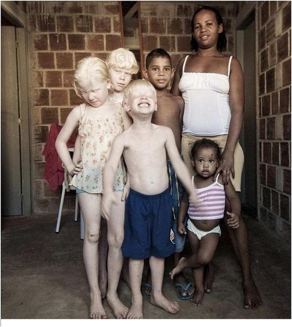 Семьи с альбиносами
