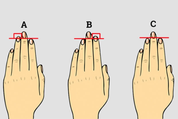 Длина ваших пальцев много говорит о вашей личности и сексуальности