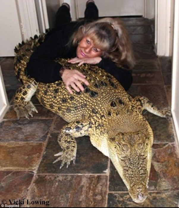 Встречайте женщину, которая держит пять крокодилов, как домашних животных в своем доме в Мельбурне