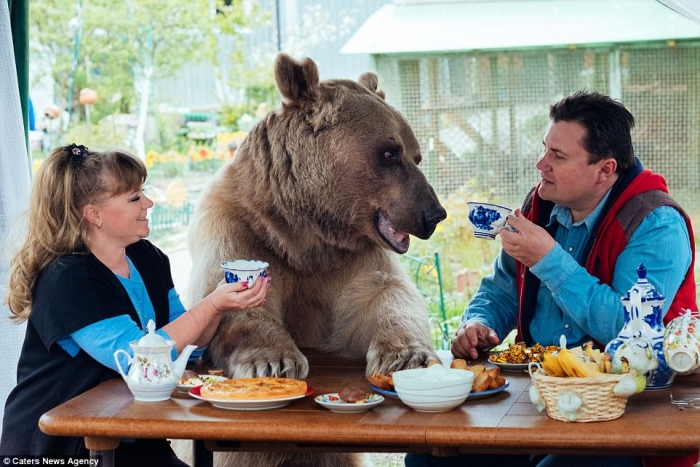 Маленькая девочка позирует с 317-килограммовым медведем гризли после того, как он был взят в семью еще детенышем