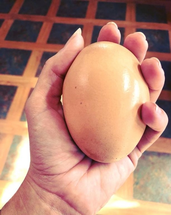 Мужчина обнаружил большое куриное яйцо, а то, что внутри, совершенно непонятно
