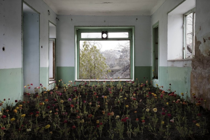 Фотосъемка нереальных растений, проросших в заброшенных домах