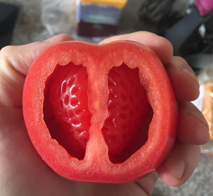 Необычная фотография мутантного помидорного-клубничного «инородного плода» отвратило интернет, а вы будете есть такой?