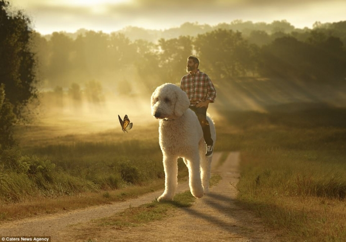 Владелец собаки стал хитом Инстаграма, превратив свою собаку в 2-метрового гиганта в серии фотографий, сделанных в Photoshop