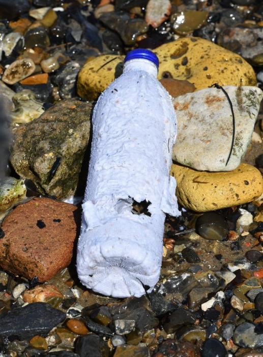 Эта экологически безопасная бутылка для воды изготовлена из переработанной бумаги и дезинтегрируется через три недели