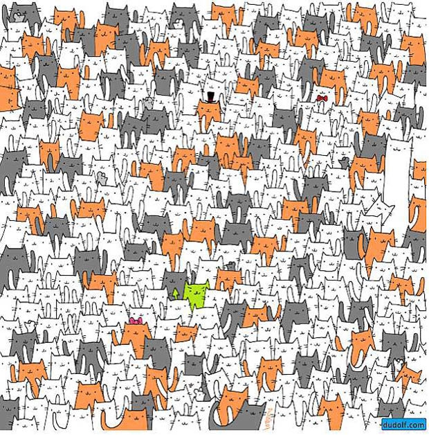 Пользователи Фейсбук сбиты с толку этой головоломкой. Можете ли вы найти кролика прячущегося среди кошек?
