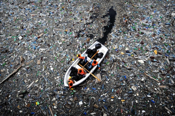 Волны мусора, плавающие в Карибском море, показывают, как загрязнен океан пластиком