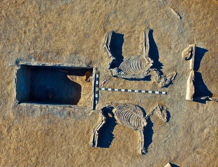 Было найдено захоронение 5000-летних скелетов любовников рядом с останками двух жертвенных лошадей