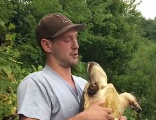 Черепаха кусает мужчину в лицо но не так медленно, как вам показалось