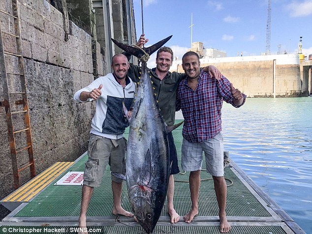 Рыбак любитель выловил огромного голубого тунца весом 102 кг и предпочел забирать эту рыбу домой и съесть, а не заработать легкие 2 000 фунтов стерлингов