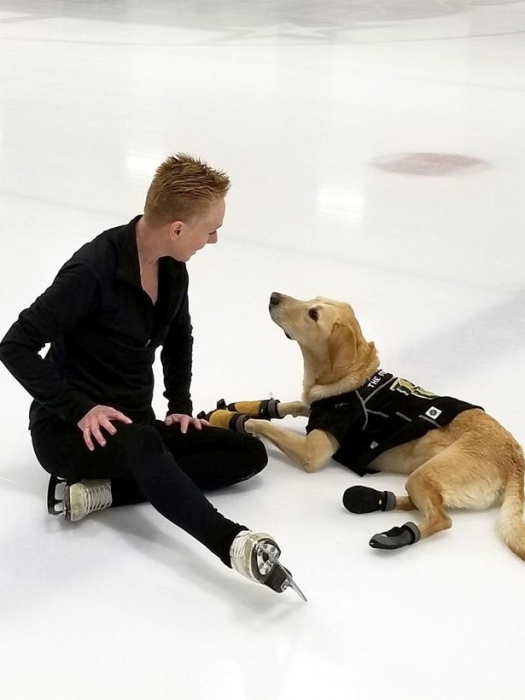 «Первая в мире» собака на коньках выглядит очень жизнелюбиво