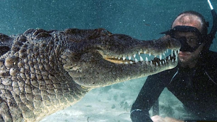 Невероятные картинки показывают бесстрашного дайвера, близко подобравшегося к большому крокодилу у берегов Мексики
