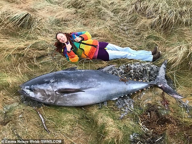 Почти 2-метрового синего тунца вымыло на остров в Шотландии после шторма