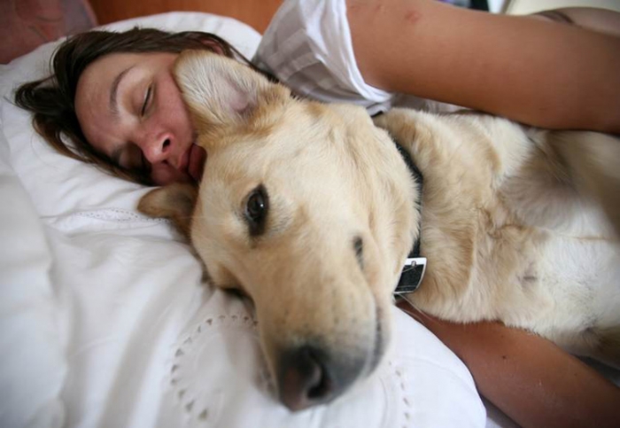 Женщины лучше спят с собакой в постели, считают исследователи