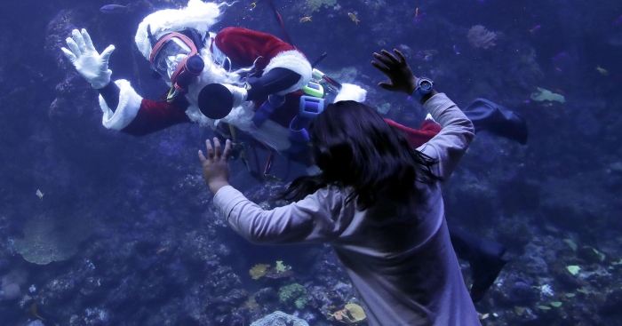 Дед Мороз с аквалангом развлекал посетителей aквариума Сан-Франциско тем что кормил рыбу