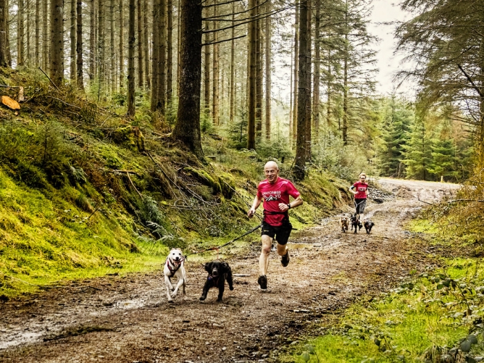Собачий кросс - это новое увлечение фитнесом, которое позволяет вам тренироваться с вашей собакой