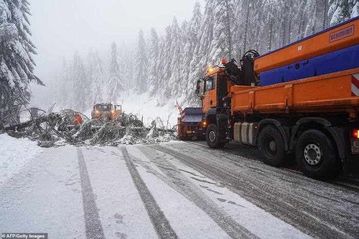 3 лыжника погибло в австрийских Альпах, поскольку самый тяжелый за последние 30 лет снегопад продолжает поражать Европу