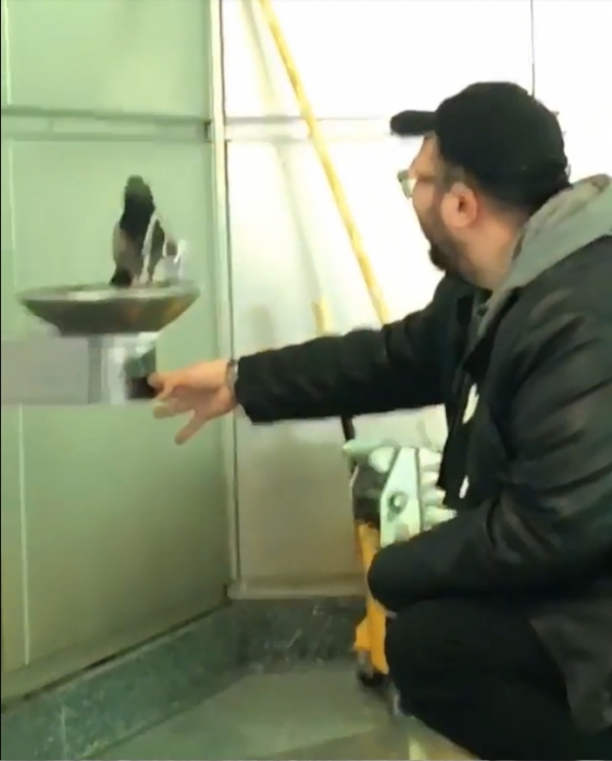 Человек помогает жаждущему голубю насладиться водой из питьевого фонтана Нью-Йорка