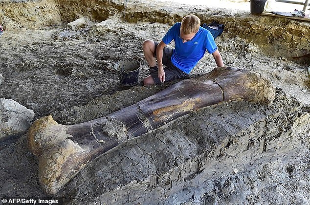 Ученым удалось раскопать кость динозавра длиной 2 метра, которая весит 500 кг на юго-западе Франции