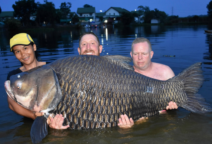 Самый крупный в мире карп весом 104 кг был пойман английским рыбаком после 80-минутного сраженья