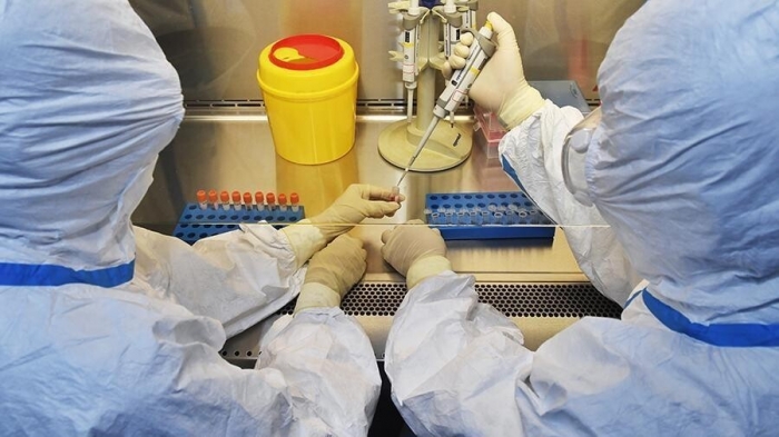 Российские учёные пообещали создать вакцину от коронавируса уже в этом году