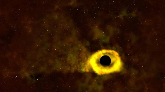 Станьте одним из первых в истории, кто увидит, как сверхмассивная Черная Дыра уничтожает звезду