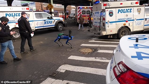 Полиция Нью-Йорка выпустила свою собаку-робота «Дигидога» в Бронксе. Он применил свой искусственный интеллект для поиска