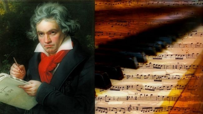 Моцарт как символ «белой гегемонии»: в Оксфорде рассматривают планы по отказу от нот и классической музыки в целом