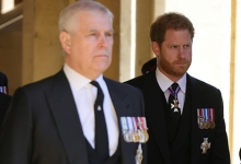 Принцев  Гарри и Эндрю оставили без юбилейных медалей королевы